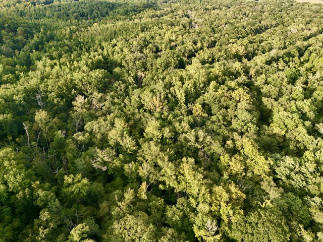 0 Copper Springs Road, Springville, TN 38256