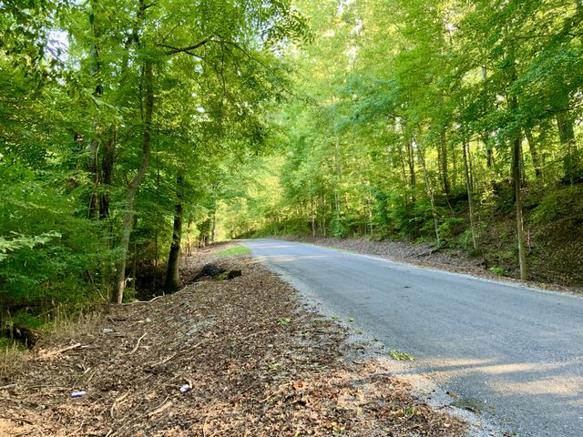 0 Copper Springs Road, Springville, TN 38256
