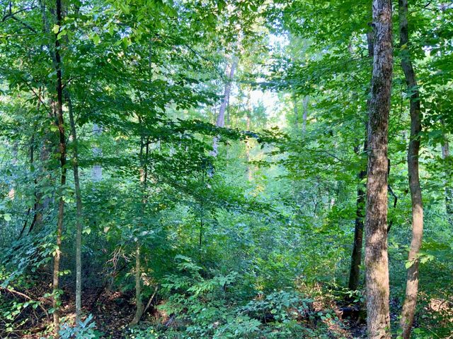 0 Copper Springs Road, Springville, TN 38256