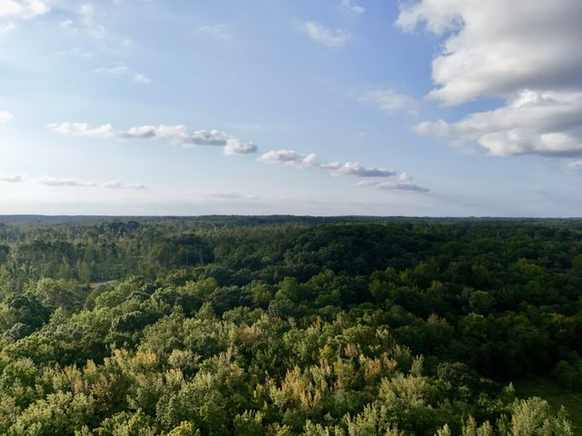 0 Copper Springs Road, Springville, TN 38256