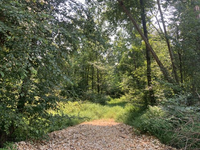 0 Copper Springs Road, Springville, TN 38256