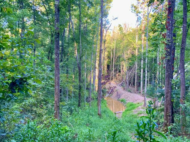 0 Copper Springs Road, Springville, TN 38256