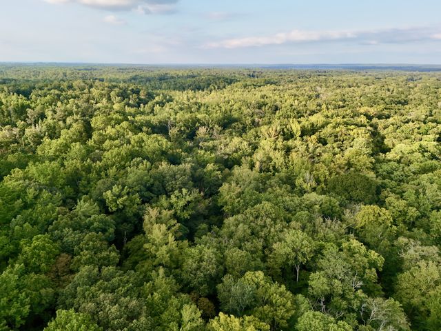 0 Copper Springs Road, Springville, TN 38256