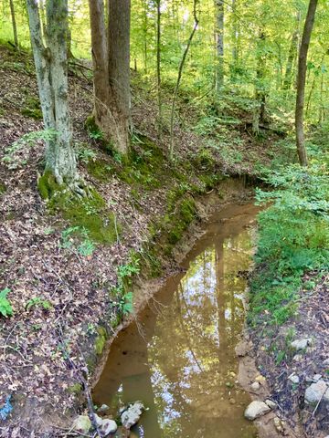 0 Copper Springs Road, Springville, TN 38256