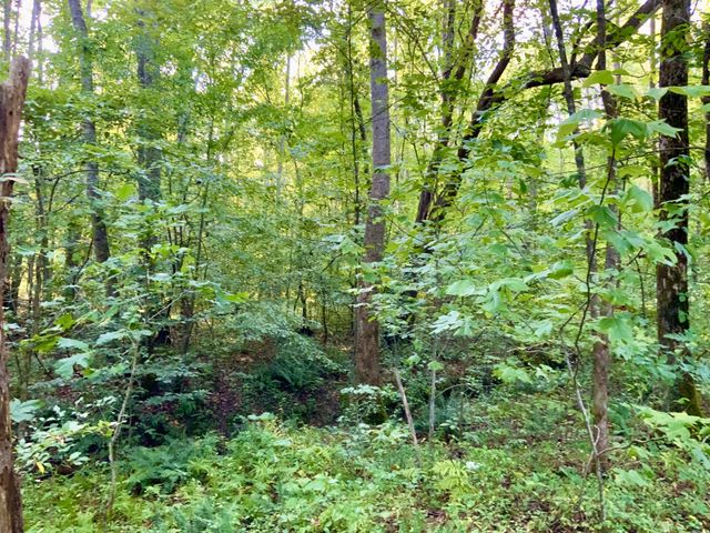 0 Copper Springs Road, Springville, TN 38256