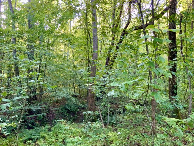 0 Copper Springs Road, Springville, TN 38256