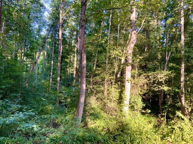 0 Copper Springs Road, Springville, TN 38256