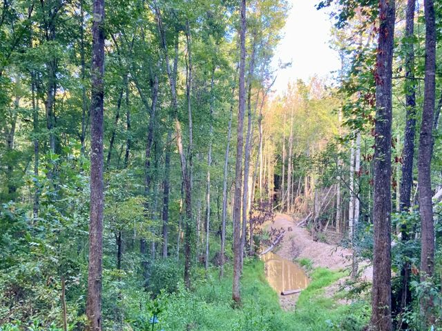 0 Copper Springs Road, Springville, TN 38256