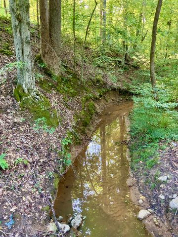 0 Copper Springs Road, Springville, TN 38256