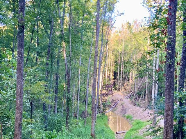 0 Copper Springs Road, Springville, TN 38256