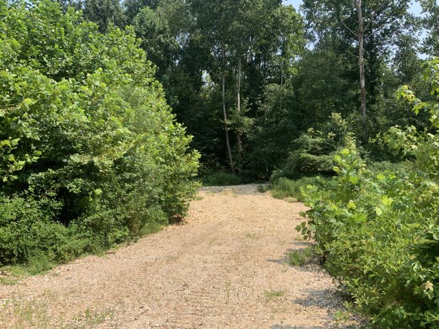 0 Copper Springs Road, Springville, TN 38256