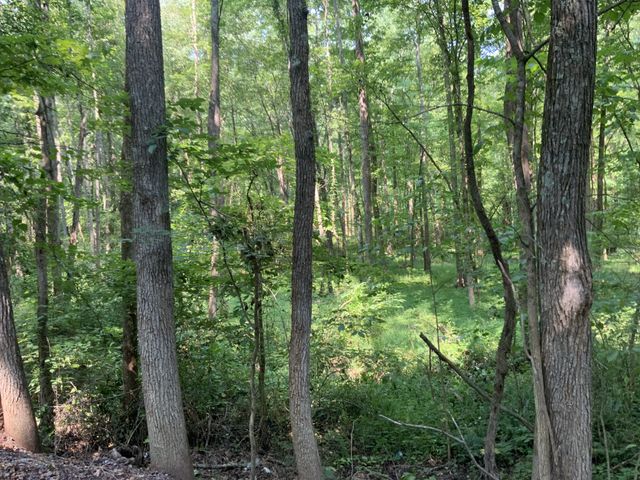 0 Copper Springs Road, Springville, TN 38256
