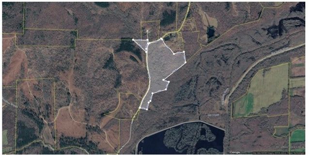 0 Copper Springs Road, Springville, TN 38256