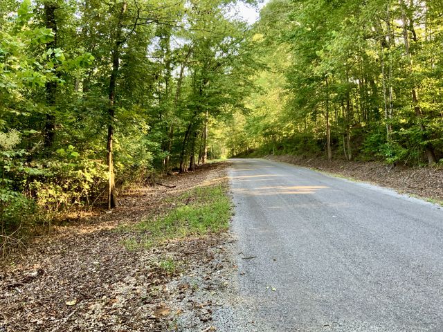 0 Copper Springs Road, Springville, TN 38256