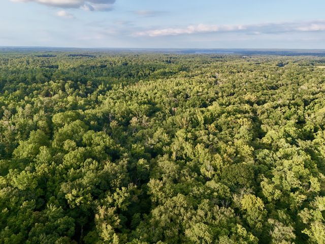 0 Copper Springs Road, Springville, TN 38256