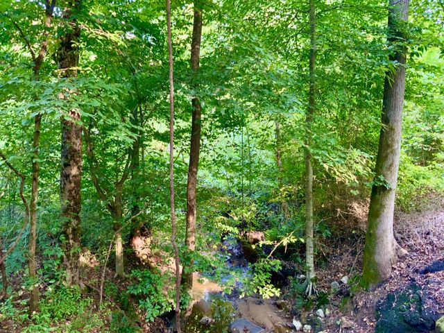 0 Copper Springs Road, Springville, TN 38256