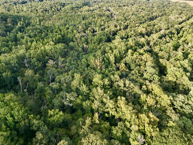 0 Copper Springs Road, Springville, TN 38256