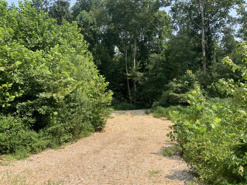 0 Copper Springs Road, Springville, TN 38256