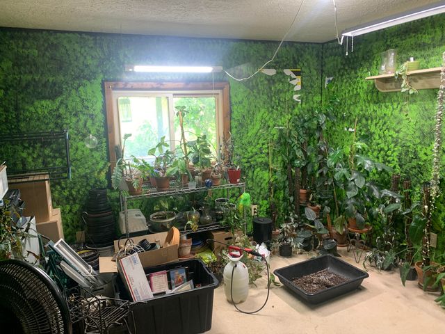 153 Bishop Lane, Falmouth, KY 41040