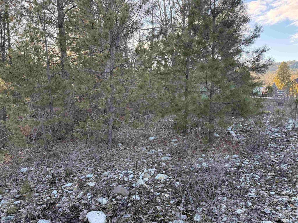 Lot 35 Tbd Mores Creek Dr., Idaho City, ID 83631 photo 4