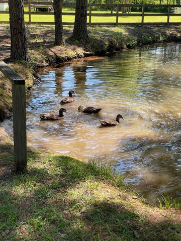 8249 Jefferies Highway, Walterboro, SC 29488