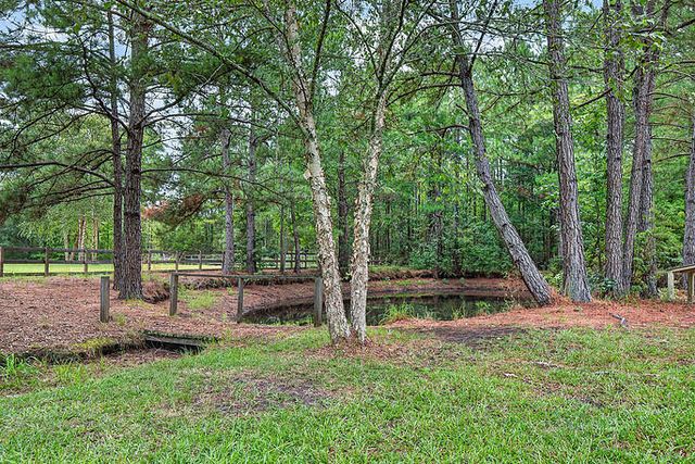 8249 Jefferies Highway, Walterboro, SC 29488