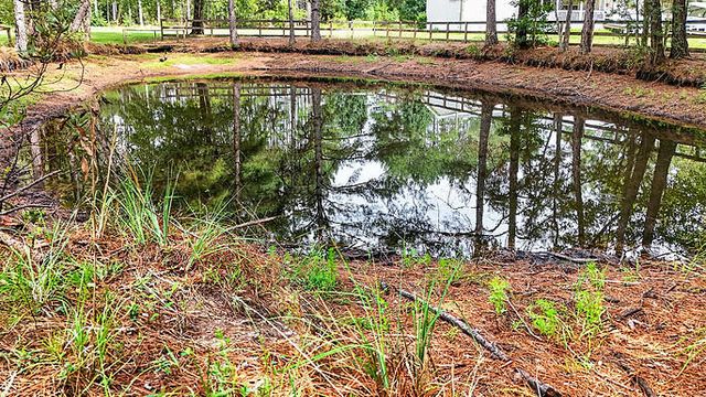 8249 Jefferies Highway, Walterboro, SC 29488