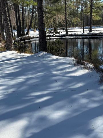 8249 Jefferies Highway, Walterboro, SC 29488