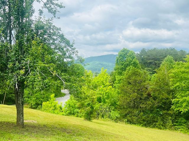105 Lola Drive, Farner, TN 37333
