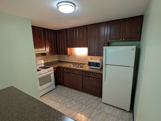 4939 S Dorchester Avenue 2A, Chicago, IL 60615