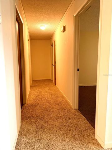 1523 BRANGUS DRIVE, Lakeland, FL 33810