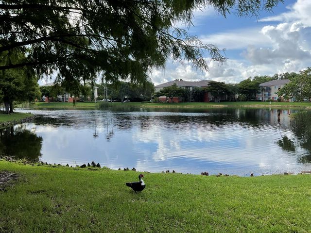 4155 N Haverhill Road 1414, West Palm Beach, FL 33417