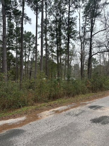 4 Yolanda Street, Huntsville, TX 77320