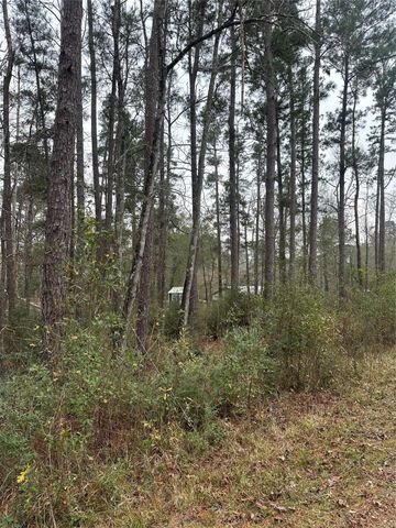 4 Yolanda Street, Huntsville, TX 77320
