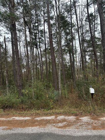 4 Yolanda Street, Huntsville, TX 77320