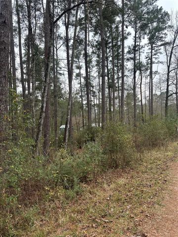 4 Yolanda Street, Huntsville, TX 77320