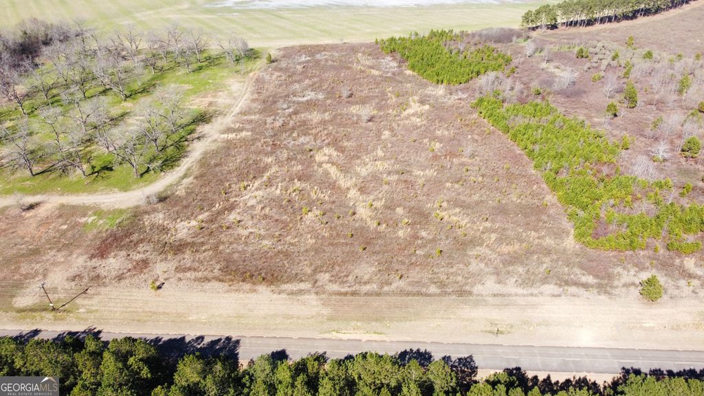 4 N County Line Road, Elko, GA 31025