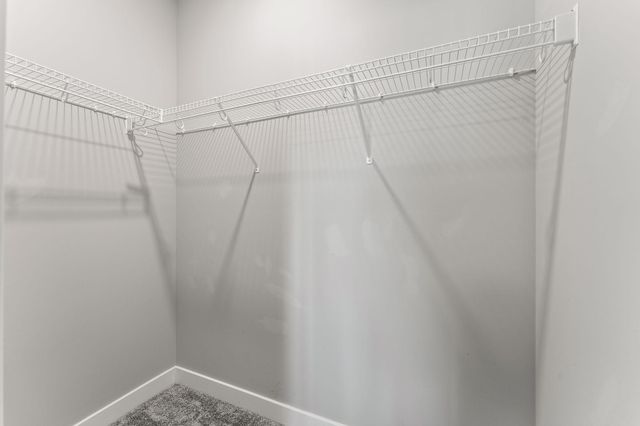 4363 Corn Silk Lane, Woodbury, MN 55129