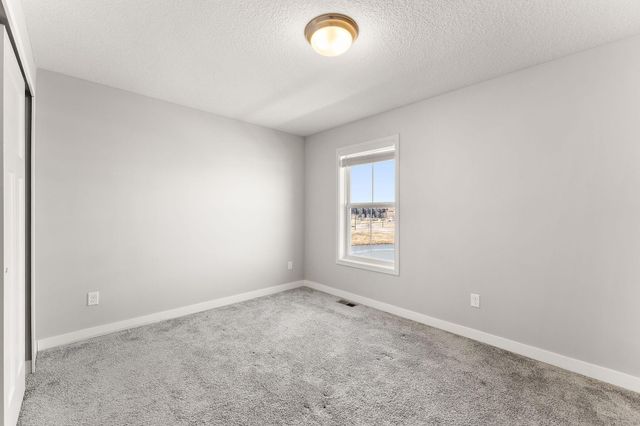 4363 Corn Silk Lane, Woodbury, MN 55129