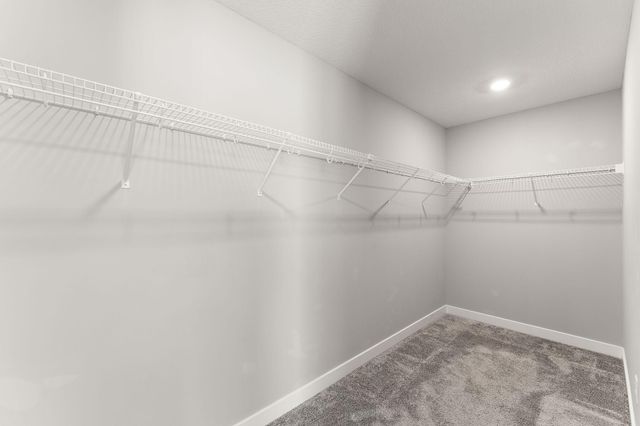 4363 Corn Silk Lane, Woodbury, MN 55129