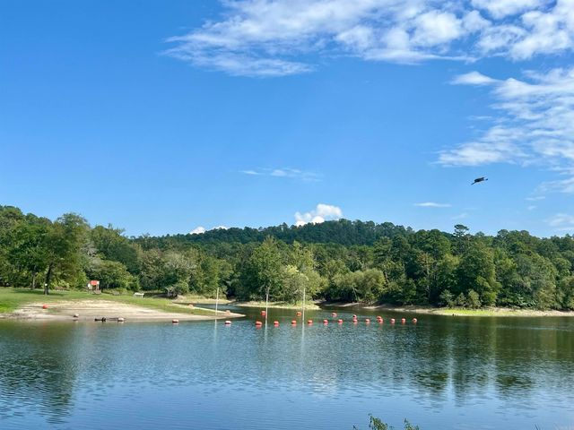 228 Fishing Village Rd Road, Story, AR 71970