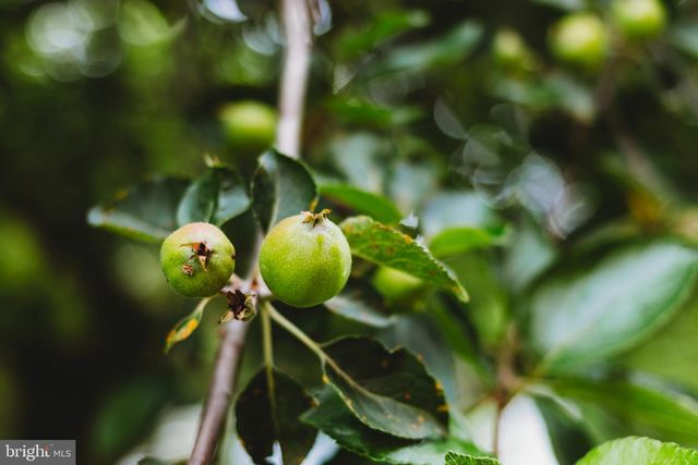 408 HAWKS NEST DR, Baker, WV 26801