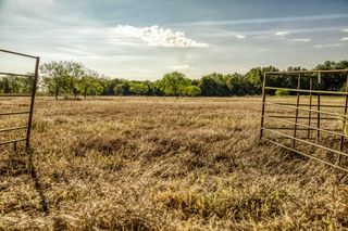 460 County Road 328, Caldwell, TX 77836