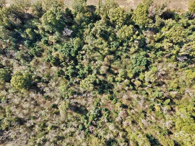 0 County Road 36, Summerdale, AL 36580