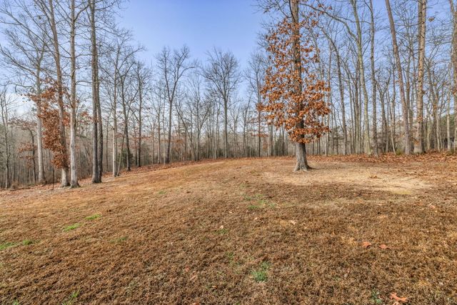 7488 Grasshopper Road, Georgetown, TN 37336