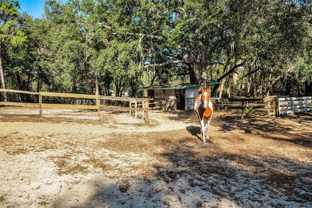 XXX TRILBY TRAILS TRAIL, Dade City, FL 33523