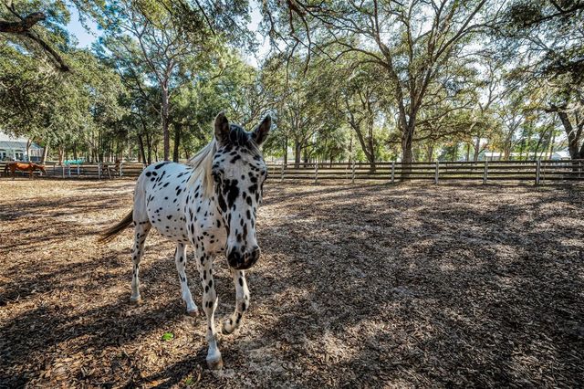 XXX TRILBY TRAILS TRAIL, Dade City, FL 33523
