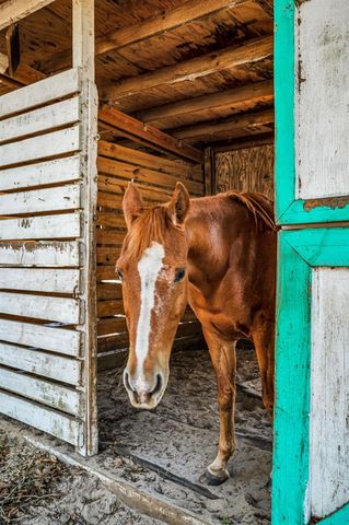 XXX TRILBY TRAILS TRAIL, Dade City, FL 33523