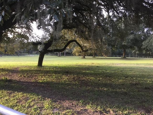 XXX TRILBY TRAILS TRAIL, Dade City, FL 33523