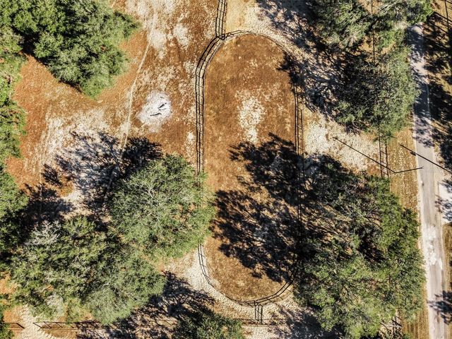 XXX TRILBY TRAILS TRAIL, Dade City, FL 33523